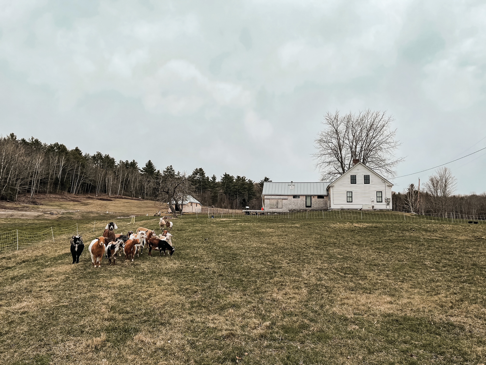 Being a Good Neighbor Tips for Country Living Grit